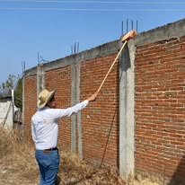 Pintura de barda comunitaria